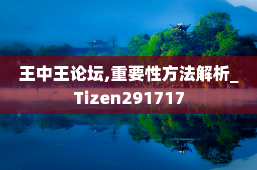 王中王论坛,重要性方法解析_Tizen291717