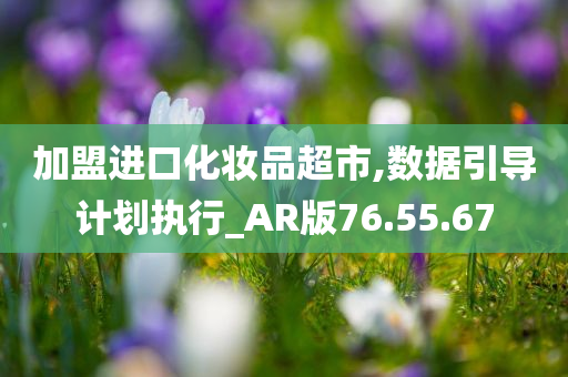 加盟进口化妆品超市,数据引导计划执行_AR版76.55.67