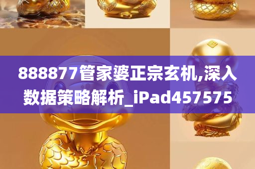 888877管家婆正宗玄机,深入数据策略解析_iPad457575