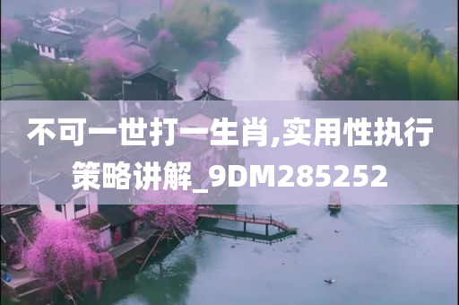 不可一世打一生肖,实用性执行策略讲解_9DM285252