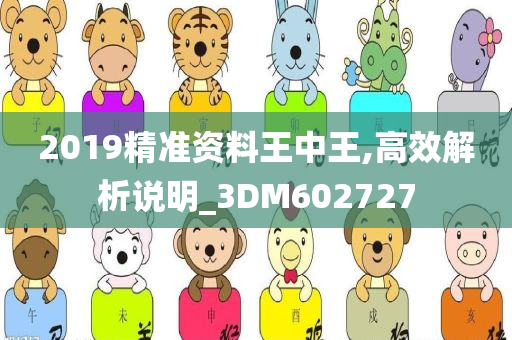 2019精准资料王中王,高效解析说明_3DM602727