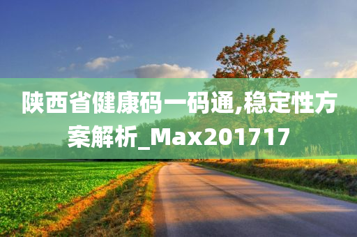 陕西省健康码一码通,稳定性方案解析_Max201717