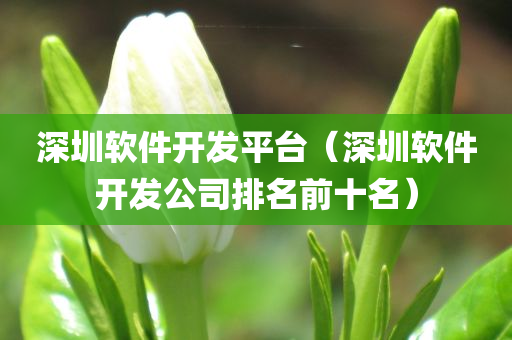 深圳软件开发平台（深圳软件开发公司排名前十名）