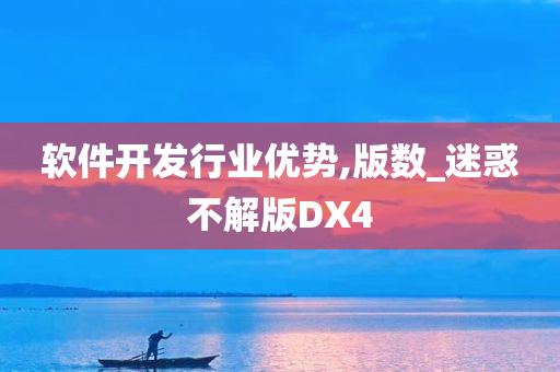 软件开发行业优势,版数_迷惑不解版DX4