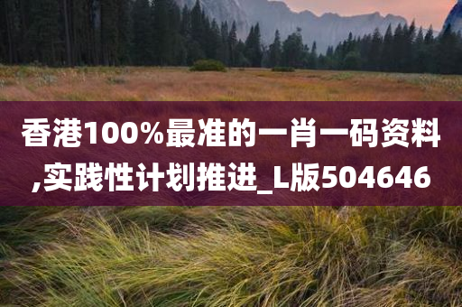 香港100%最准的一肖一码资料,实践性计划推进_L版504646