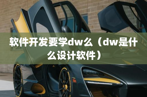 软件开发要学dw么（dw是什么设计软件）