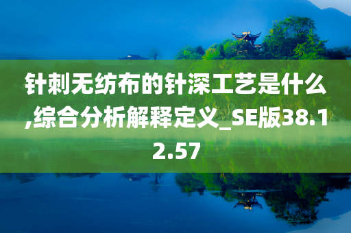 针刺无纺布的针深工艺是什么,综合分析解释定义_SE版38.12.57