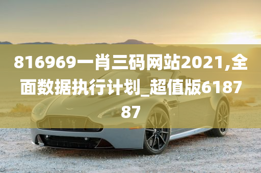 816969一肖三码网站2021,全面数据执行计划_超值版618787