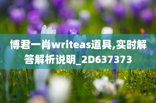 博君一肖writeas道具,实时解答解析说明_2D637373