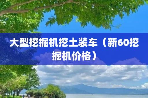 大型挖掘机挖土装车（新60挖掘机价格）