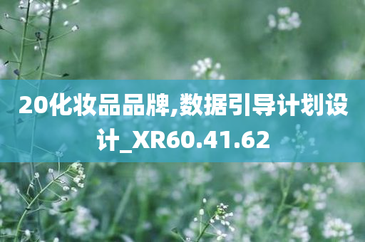 20化妆品品牌,数据引导计划设计_XR60.41.62