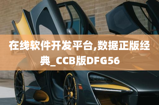 在线软件开发平台,数据正版经典_CCB版DFG56