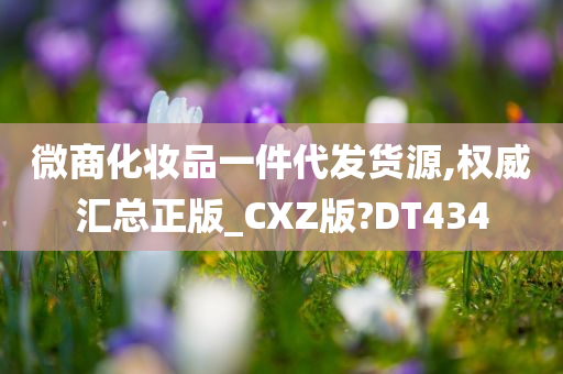 微商化妆品一件代发货源,权威汇总正版_CXZ版?DT434