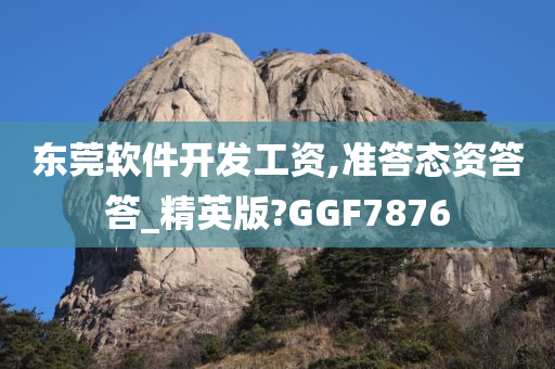 东莞软件开发工资,准答态资答答_精英版?GGF7876