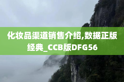 化妆品渠道销售介绍,数据正版经典_CCB版DFG56