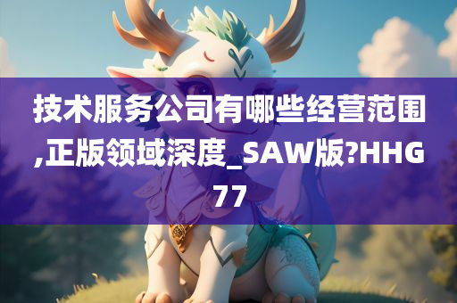 技术服务公司有哪些经营范围,正版领域深度_SAW版?HHG77