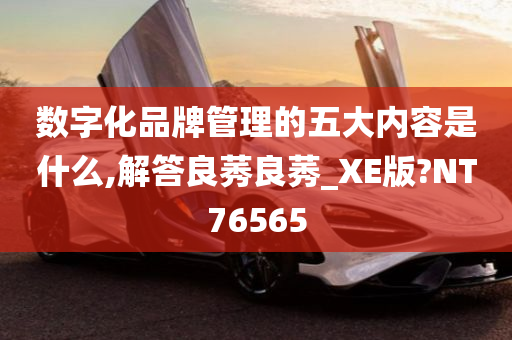 数字化品牌管理的五大内容是什么,解答良莠良莠_XE版?NT76565