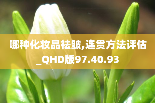 哪种化妆品祛皱,连贯方法评估_QHD版97.40.93