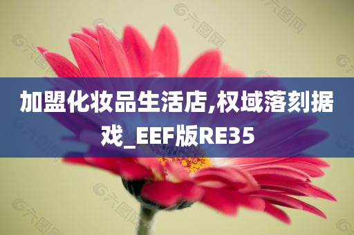 加盟化妆品生活店,权域落刻据戏_EEF版RE35