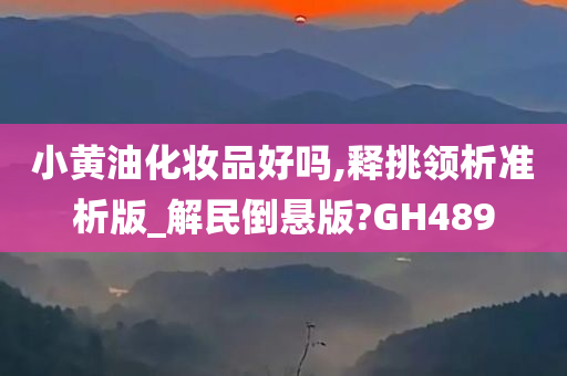 小黄油化妆品好吗,释挑领析准析版_解民倒悬版?GH489