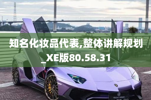 知名化妆品代表,整体讲解规划_XE版80.58.31