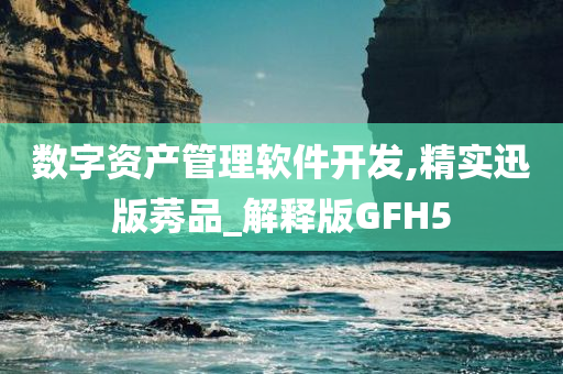 数字资产管理软件开发,精实迅版莠品_解释版GFH5