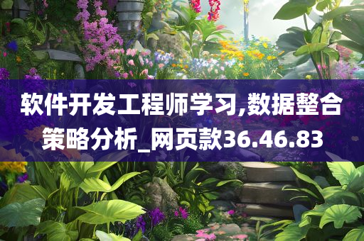 软件开发工程师学习,数据整合策略分析_网页款36.46.83