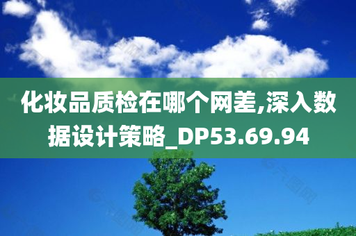 化妆品质检在哪个网差,深入数据设计策略_DP53.69.94