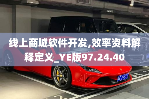 线上商城软件开发,效率资料解释定义_YE版97.24.40