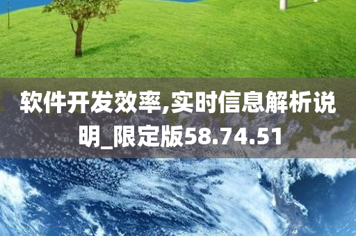 软件开发效率,实时信息解析说明_限定版58.74.51