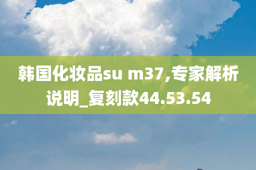 韩国化妆品su m37,专家解析说明_复刻款44.53.54