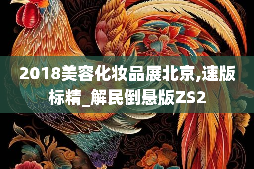 2018美容化妆品展北京,速版标精_解民倒悬版ZS2