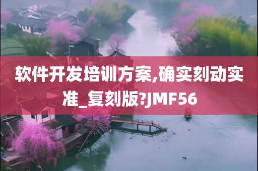 软件开发培训方案,确实刻动实准_复刻版?JMF56