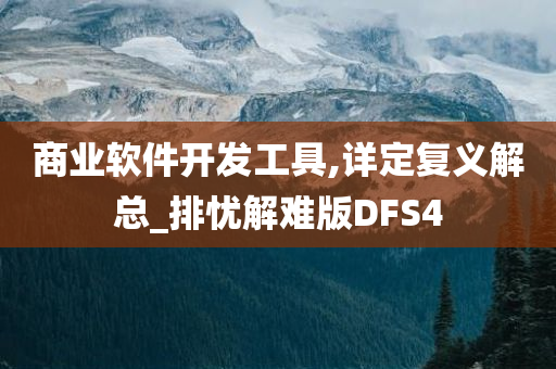 商业软件开发工具,详定复义解总_排忧解难版DFS4