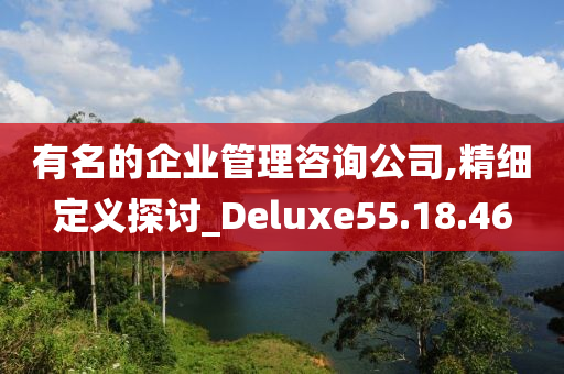 有名的企业管理咨询公司,精细定义探讨_Deluxe55.18.46