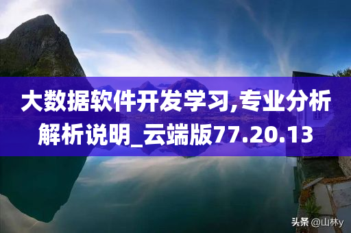 大数据软件开发学习,专业分析解析说明_云端版77.20.13