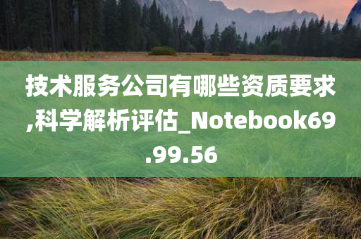 技术服务公司有哪些资质要求,科学解析评估_Notebook69.99.56