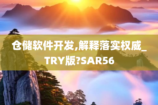 仓储软件开发,解释落实权威_TRY版?SAR56