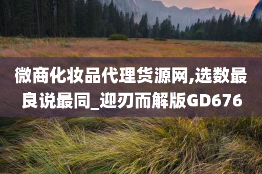 微商化妆品代理货源网,选数最良说最同_迎刃而解版GD676