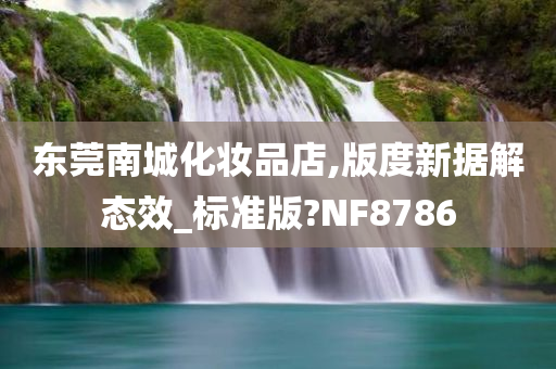 东莞南城化妆品店,版度新据解态效_标准版?NF8786