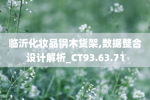 临沂化妆品钢木货架,数据整合设计解析_CT93.63.71