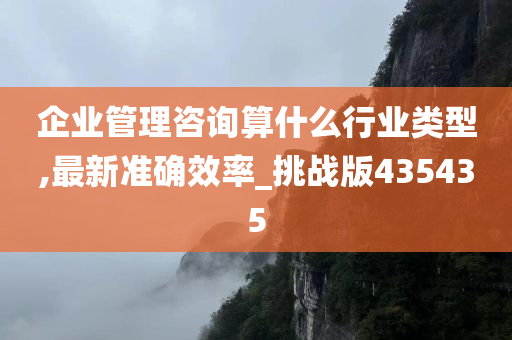 企业管理咨询算什么行业类型,最新准确效率_挑战版435435