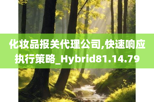 化妆品报关代理公司,快速响应执行策略_Hybrid81.14.79