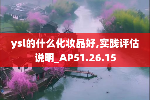 ysl的什么化妆品好,实践评估说明_AP51.26.15