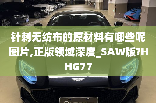 针刺无纺布的原材料有哪些呢图片,正版领域深度_SAW版?HHG77