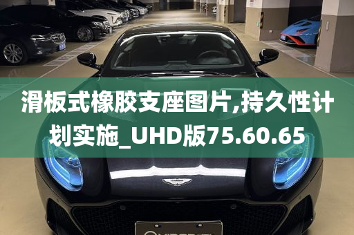 滑板式橡胶支座图片,持久性计划实施_UHD版75.60.65