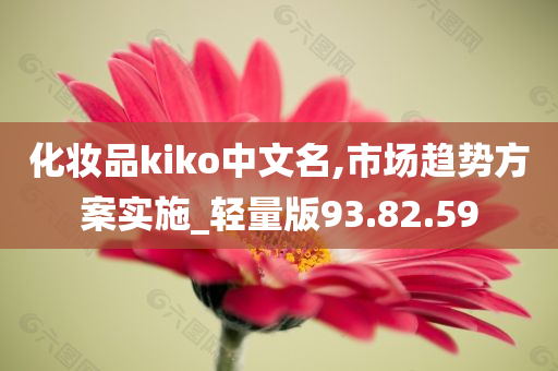 化妆品kiko中文名,市场趋势方案实施_轻量版93.82.59