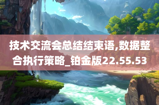 技术交流会总结结束语,数据整合执行策略_铂金版22.55.53