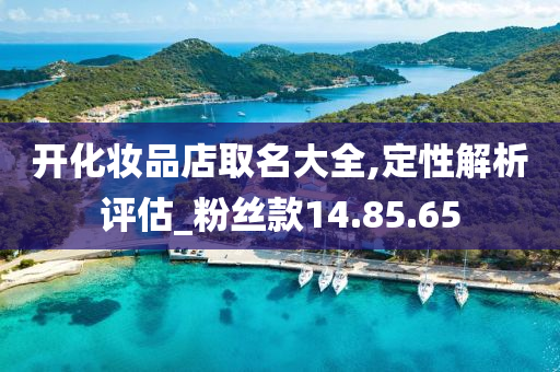 开化妆品店取名大全,定性解析评估_粉丝款14.85.65