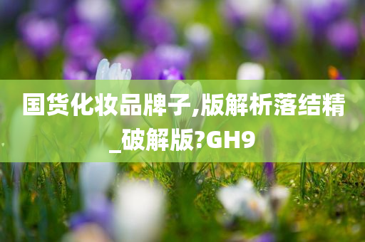 国货化妆品牌子,版解析落结精_破解版?GH9